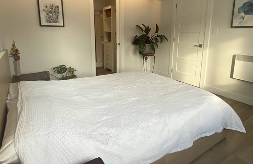 Courtenay House | Bright, spacious and centrally located garden suite