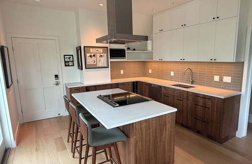 Rosemont House | Bright, spacious home, new kitchen, hot tub, beautiful art, EV charger