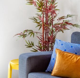 Addington Apartment | Bright & Stylish 2BR Near Addington Park