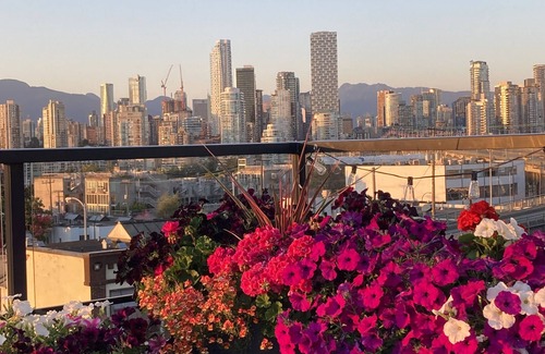 Fairview Condo | Bright two bedroom Kitsilano condo-Crazy city views!