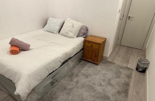 Bensham Manor Apartment | Brigstock3