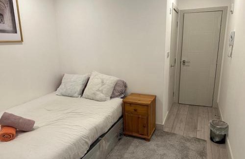 Bensham Manor Apartment | Brigstock3