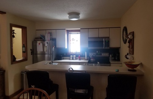 Bromley Mountain Condo | Bromley Village Condo With Shuttle Service