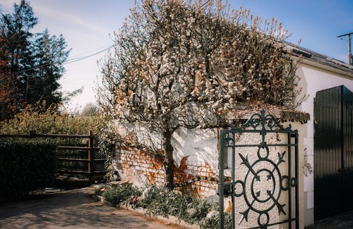 Lisburn Cottage | Brookhall Cottage Pear Tree