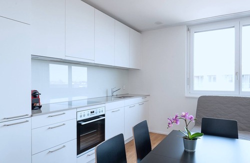 Basel City Centre Apartment | BS Deer V - Messe HITrental Apartment