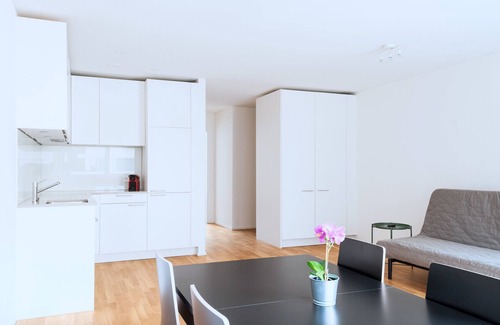 Basel City Centre Apartment | BS Fox I - Messe HITrental Apartment