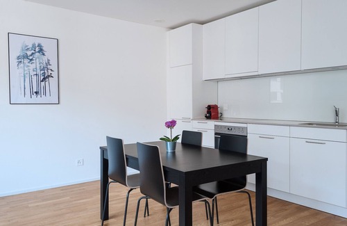 Basel City Centre Apartment | BS Wolf I - Messe HITrental Apartment