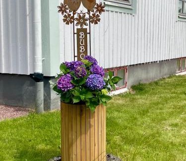 Mora Villa | Bubo mysigt litet hus i Noret