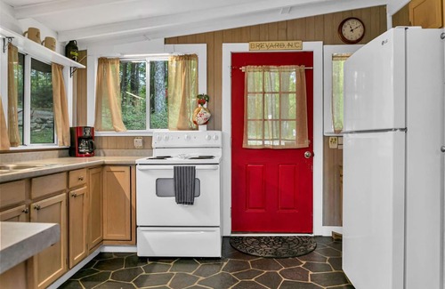 Brevard Cabin | Buck's Cabin near Brevard, NC Dog Friendly Wood stove, mtn views in forest.