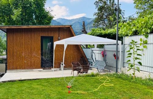 Akhali Ubani Apartment | Buddy Cottage Borjomi