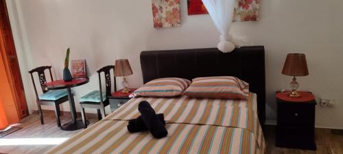 Castries Apartment | Budget-Friendly Studio