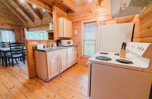 Townsend Cabin | Budro's Bungalow: Pet Friendly, Free Attraction Tickets, Mtn View, Hot Tub & 5 Min to National Park
