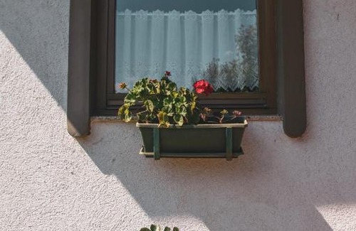 Bradesti Villa | Buena Vista