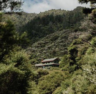 Coromandel Bed & Breakfast | Buffalo Lodge