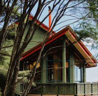 Coromandel Bed & Breakfast | Buffalo Lodge