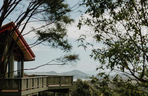 Coromandel Bed & Breakfast | Buffalo Lodge