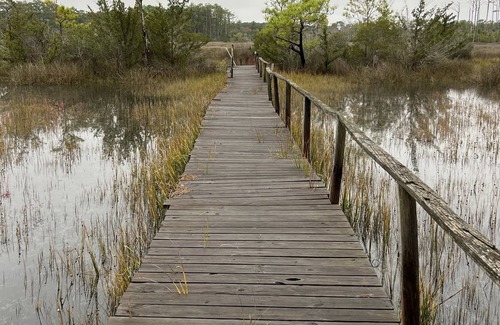 Beaufort House | Bums Retreat Downeast home with 3 bedrooms.