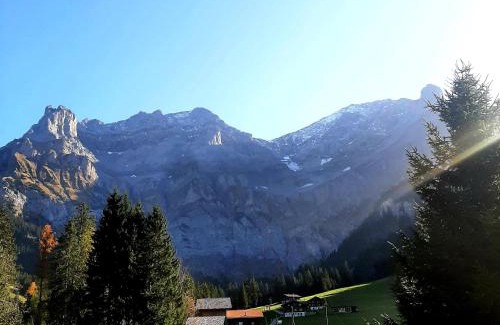 Adelboden Ski Chalet | Bunderbach