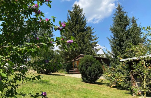 Saalfeld-Saale House | Bungalow for 3 guests with 28m² in Saalfeld/Saale (146168)