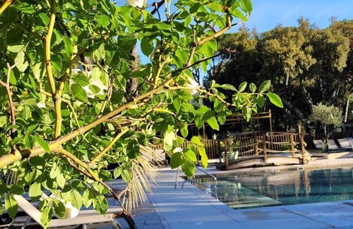 Vidauban House | Bungalow for rent on the Côte d'Azur