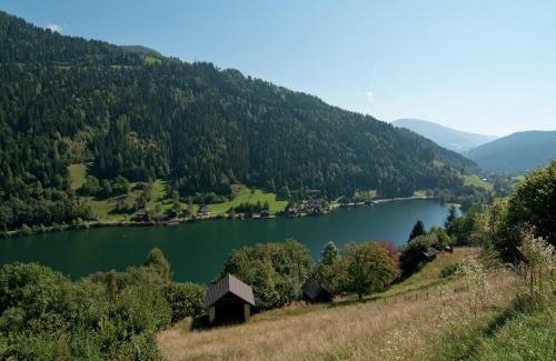 Gloednitz Apartment | Bungalow in Glödnitz near Ski Slopes