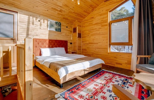 Tosya House | Bungalow in Nature Near Dipsiz Lake - Teleskop