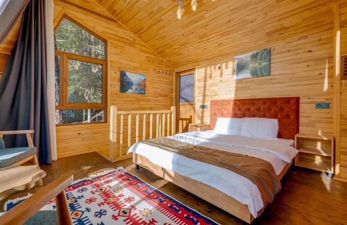 Tosya House | Bungalow in Nature Near Dipsiz Lake - Teleskop