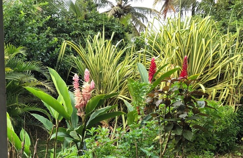 Les Abymes House | Bungalow Tout Confort en Guadeloupe