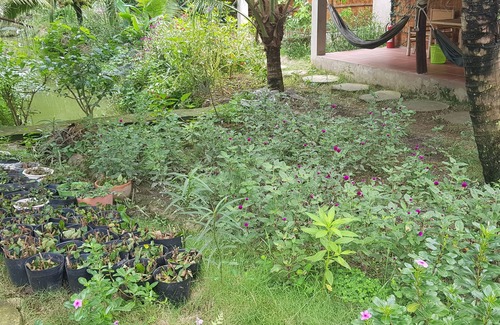 Chau Thanh House | Bungalow with garden view