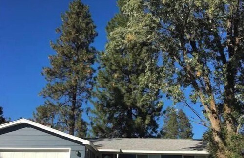 Spokane House | Bungalow with hidden room behind bookcase door and no cleaning fees
