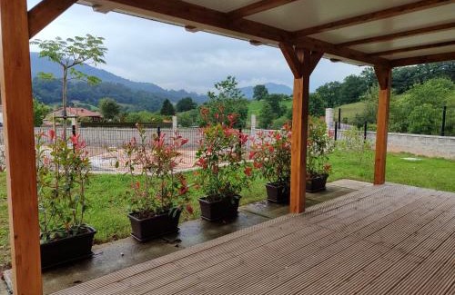 Coo Other | BUNGALOWS MARTINA