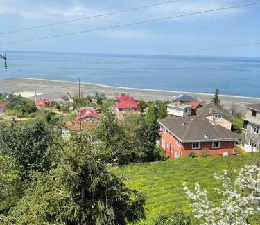 Pazar Hotel | Bungaport Luxury Bungalows&Suits
