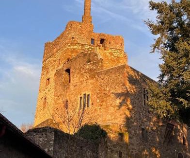 Wetzlar Bed & Breakfast | Burg Hermannstein - Rittersaal
