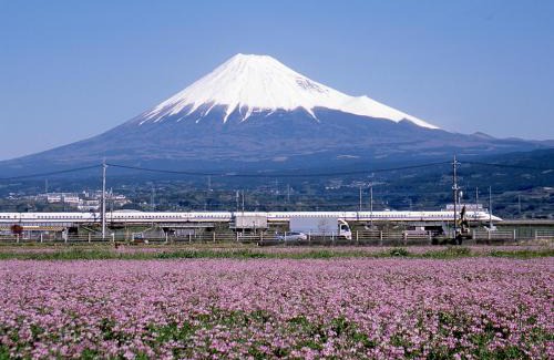 Aoi Ward Hotel | Business Hotel Sunpu