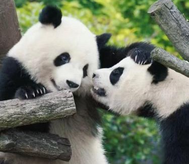 Chengdu City Centre Hotel | BuYuan Hotel - Near Wuhou Shrine, Chunxi Road,T aikooli, Tianfu Square, People's Park, Chengdu Museum, Very close to the Sichuan University , Exit C of Huaxiba on Metro Line 1,Provides Welcome refreshments ,Minibar,Laundry & Luggage delivery service