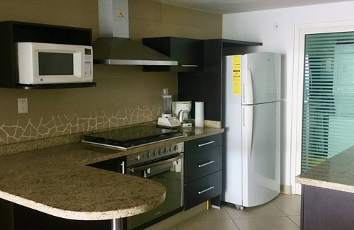 Ixtapa Apartment | BVG Marina 1004S Ocean Front Condo 2Br 2Bthr beach acces