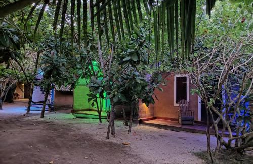 Hikkaduwa Hotel | By The C' Cabanas