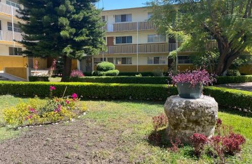 Downtown Queretaro Apartment | Cómoda suite Céntrica El Prado A37