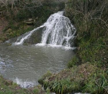 Pompignac Bed & Breakfast | Côté jardin parc saint Martin
