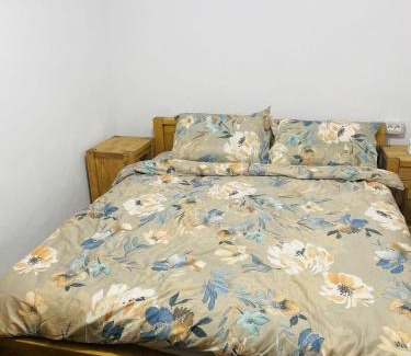 Vidra House | Căsuța Irina