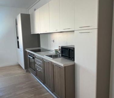 Bucharest City-Centre Apartment | C-entral Apartments Bucharest with Private Parking