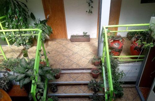 Coyoacan House | C huespedes Sn Angel Home - confirme reservacion al telefono siempre -