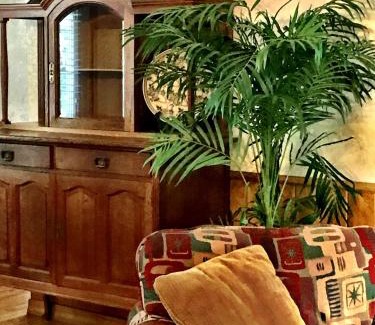 Mount Ida House | C15, Two bedroom, two bath log-sided, luxury Harbor North cottage with hot tub cottage