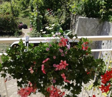Sestri Levante House | Ca' da Rina