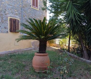 Rosignano Marittimo Apartment | Casale rustico Poggiarino diB&L