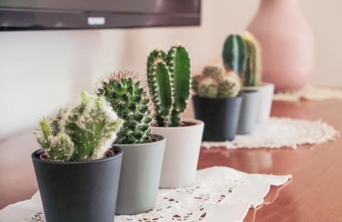 Navile Apartment | Ca'Molino Ampio appartamento con giardino privato vicino al centro storico fiera ospedale stazione centrale aeroporto Centergross