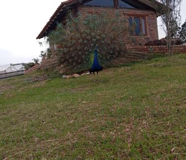 Villa de Leyva Apartment | Cabaña lagovilla