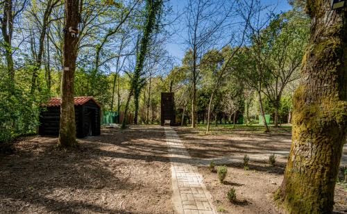 Ponteareas Ski Chalet | Cabaña quinta do Conde
