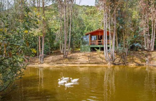 Suesca Other | Cabaña Tipo Glamping Savieza Life Experience