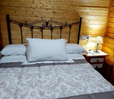 Arroyo Frio Apartment | Cabañas los Pinos Arroyo Frio